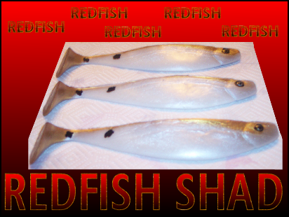 shad bodies